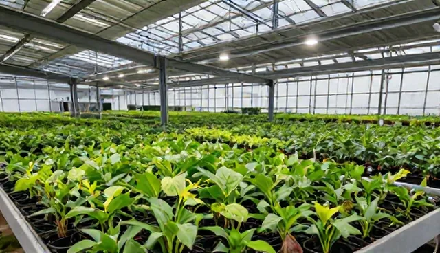 个人用户如何通过种植基地合作提升品牌建设？